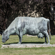 Waldemar Grzimek: Äsendes Rind, 1960 / Fotonachweis: Detlef Witt (2015)